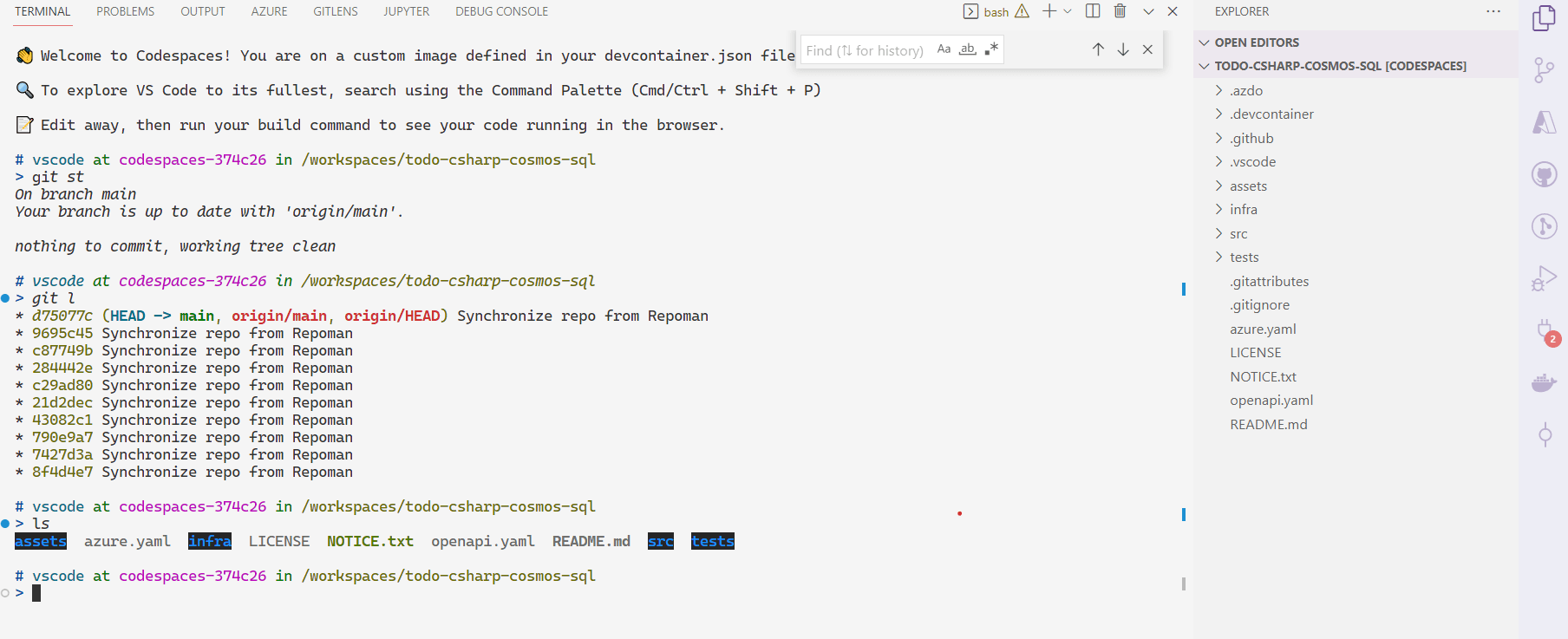 codespace-welcome