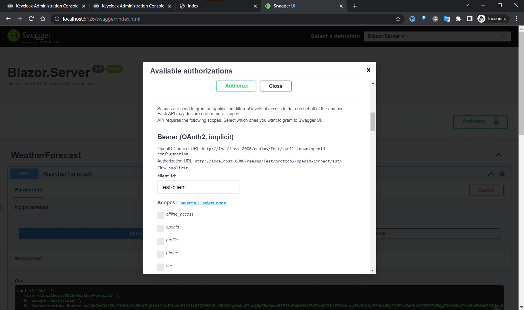 access-token-from-swagger.png