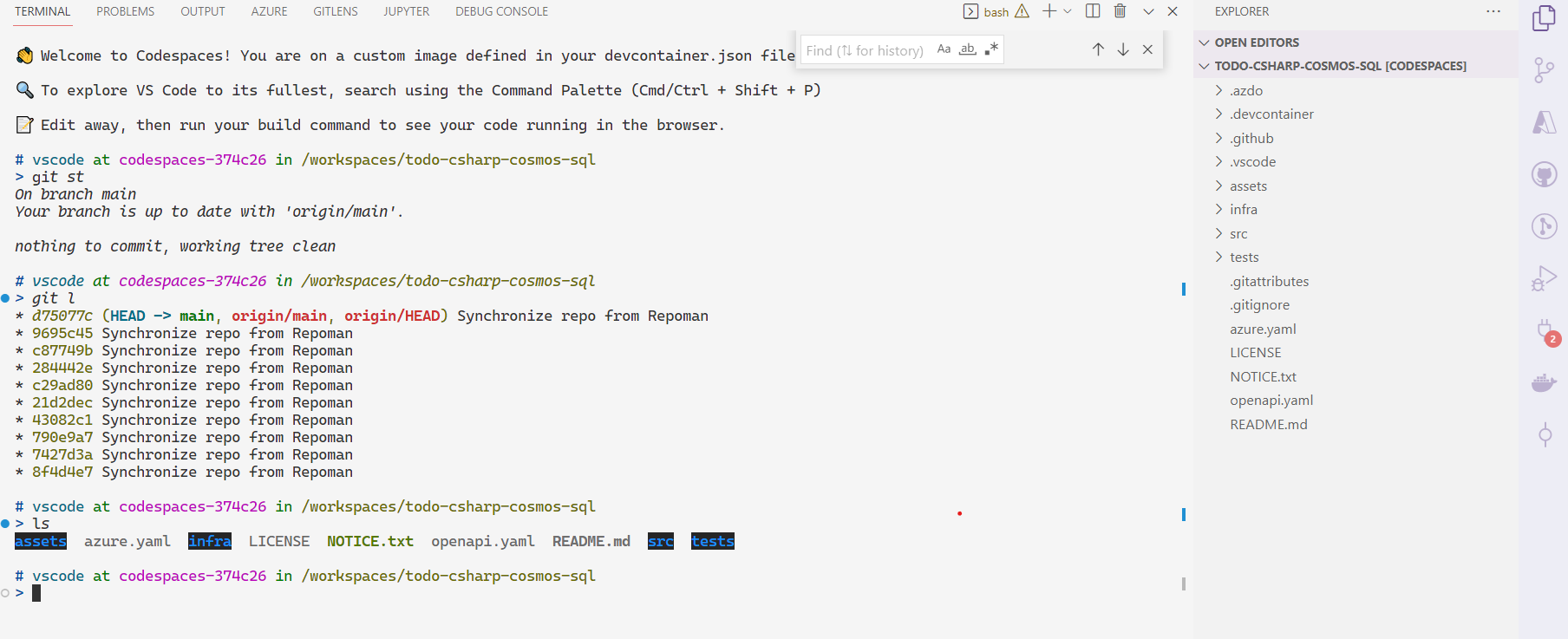 codespace-welcome