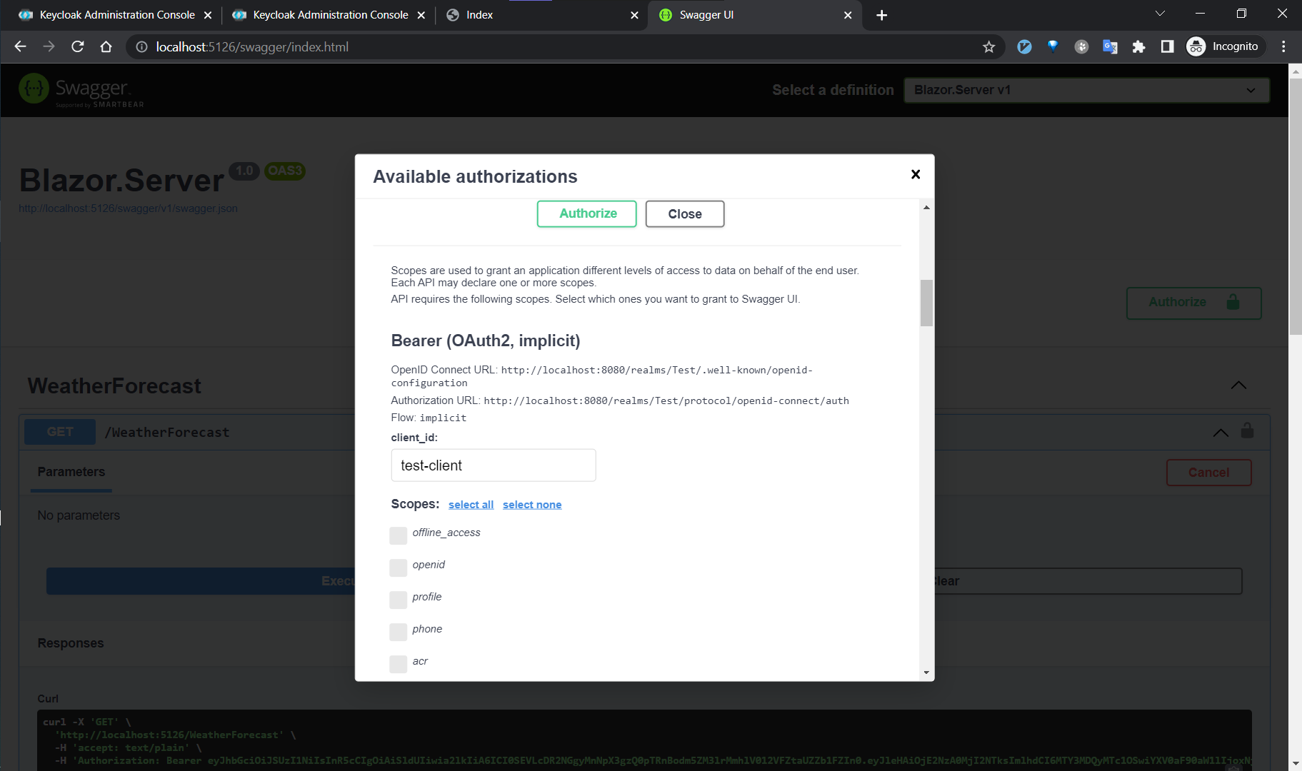 access-token-from-swagger.png